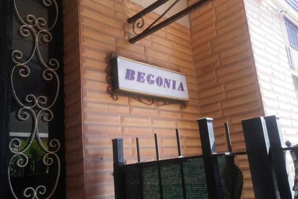 Apartment Aurelia - Begonia *
